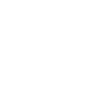 Fast Shipping